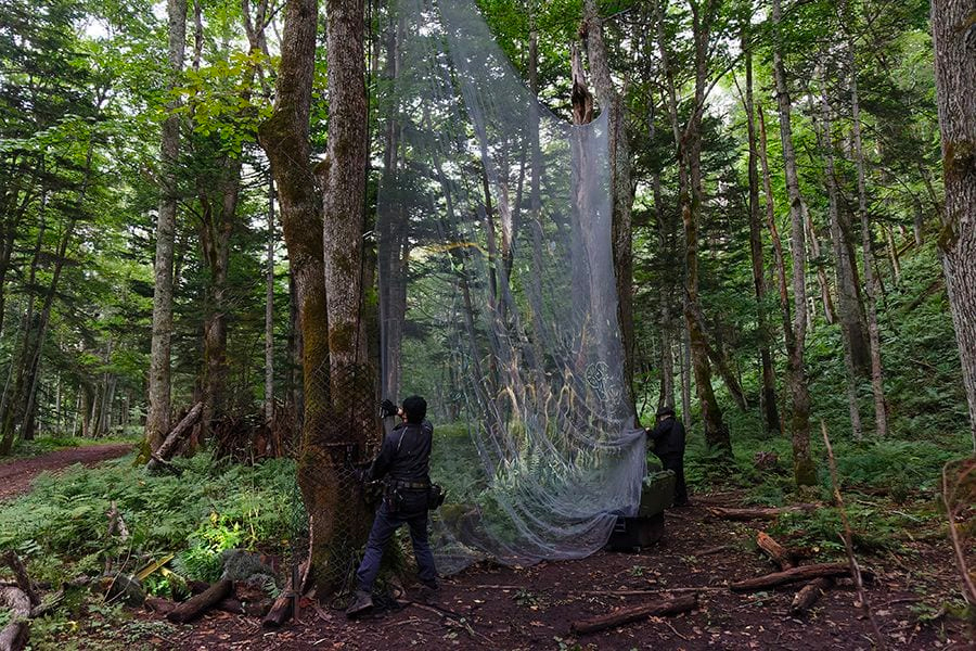 案例｜来利国际w66为壮观的Kamuy Lumina魔法夜行旅游项目提供配乐设备