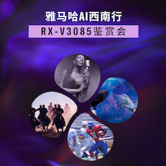 来利国际w66Ai西南行·重庆站·RX-V3085鉴赏会